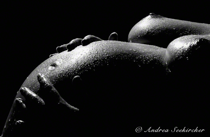 schwangerschaft babybauchfotos